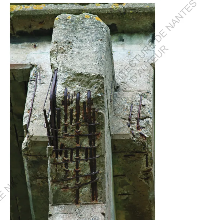 Figure 12 - © Club photo de TrignacECOLE NATIONALE  SUPERIEURE  D'ARCHITECTURE  DE  NANTES DOCUMENT SOUMIS AU DROIT D'AUTEUR