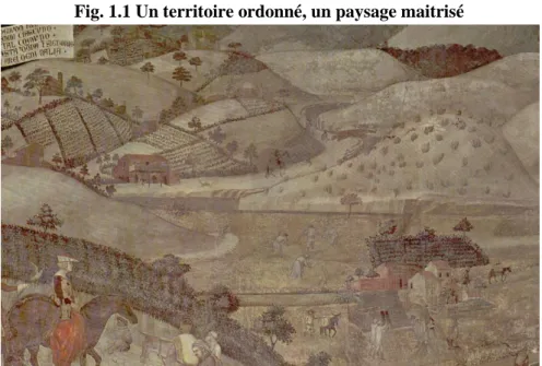 Fig. 1.1 Un territoire ordonné, un paysage maitrisé 