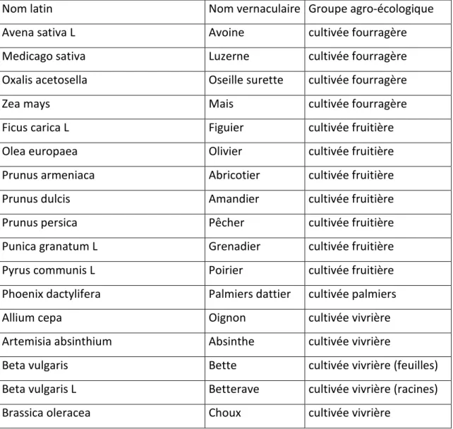 Tableau 6: Liste des espèces inventoriées dans 34 jardins et classement dans les groupes agro- agro-écologiques 
