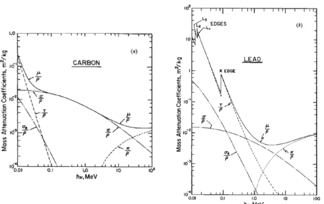 Figure II-5 : Coefficient d’atténuation massique  pour le carbone (a) et le plomb (b)