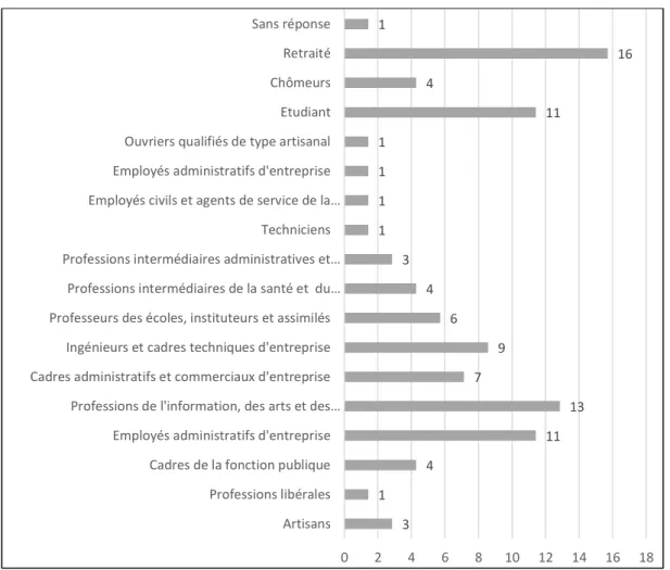 Figure 12:Profession des enquêtés 62 (Panel 2), usagers et bénévoles exprimés en pourcentage (%)