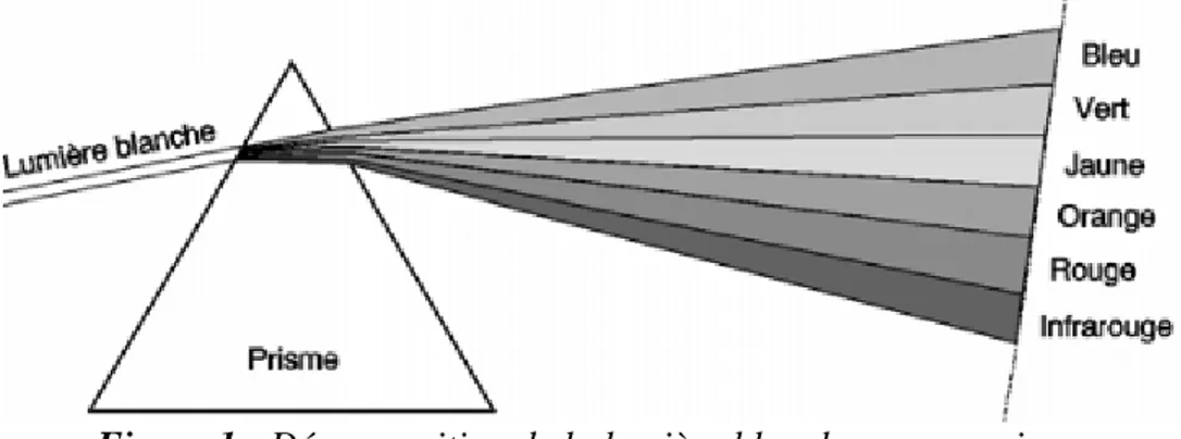 Figure 1 : Décomposition de la lumière blanche par un prisme  Que voit la photopile ? 