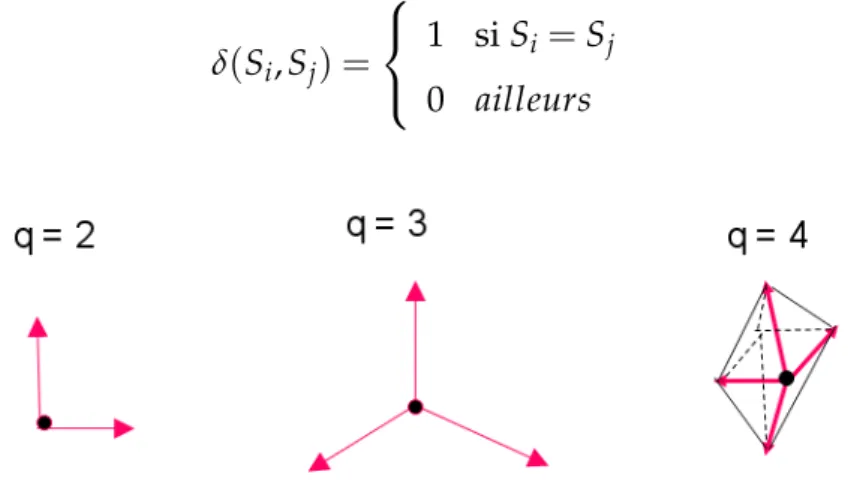 FIGURE 1.2 – Repr´esentation du mod`ele de Potts pour differents ´etats q