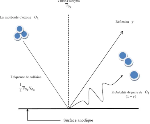 Figure 2.7 — Sch´ ema repr´ esentatif de la d´ ecomposition de l’ozone O3 sur la surface [58].