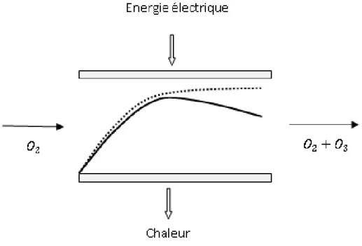 Figure 2.8 — Proﬁl de la concentration d’ozone le long de l’ozoniseur en se ba-