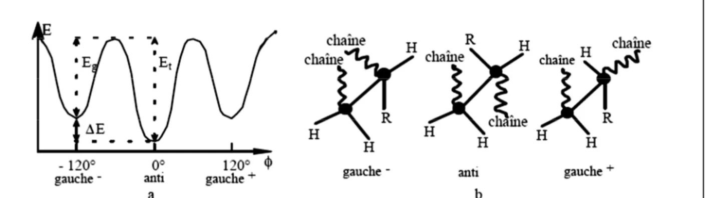 Figure I.3 : Conformations anti et gauche : a) énergie potentielle associée à la rotation