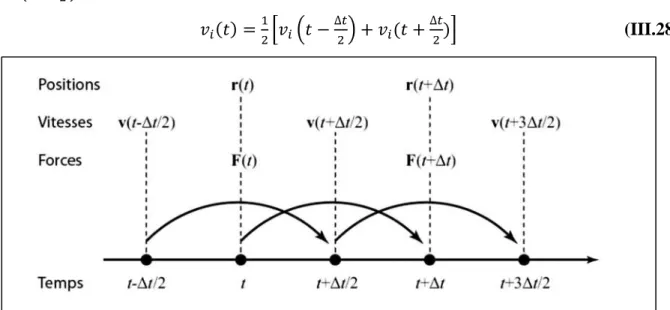 Figure III.5 : Schéma de principe de l’algorithme du Verlet-leapfrog [179].