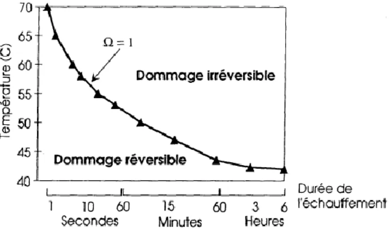 Fig 2.11- Frontière entre dommage réversible et irréversible sur la peau de bœuf, en fonction 