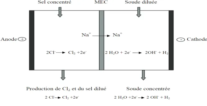 Figure I.7 : Production de la soude et du chlore par l’électrodialyse à membrane [11]