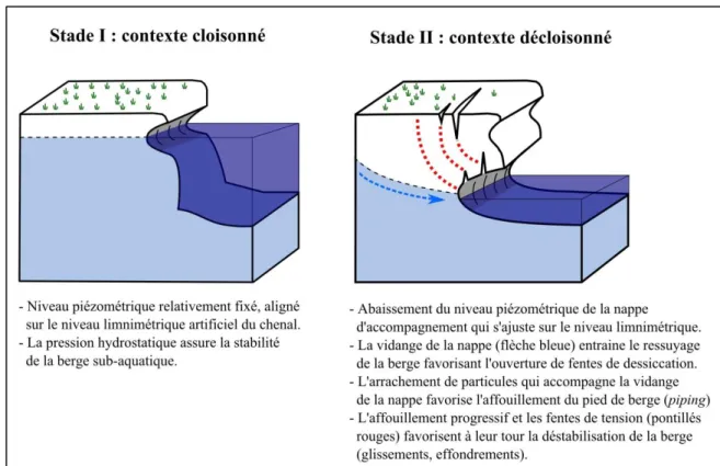 Figure 2.14 : Réajustements piézométriques et implications morphologiques inhérents à la suppression d’un ouvrage  en travers