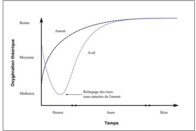 Figure 2.15 : Évolution théorique post-effacement de la concentration en oxygène dissous en amont et en aval d’un  grand barrage