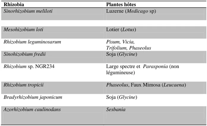 Tableau 1.  Exemples d’associations entre Rhizobia et Légumineuses 