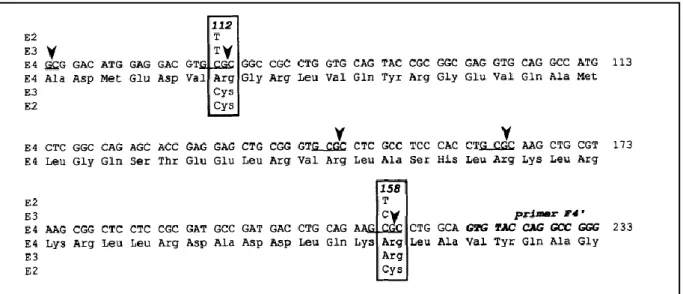 Figure 6: Substitutions des nucléotides et des acides aminés distinguant les trois isoformes de 