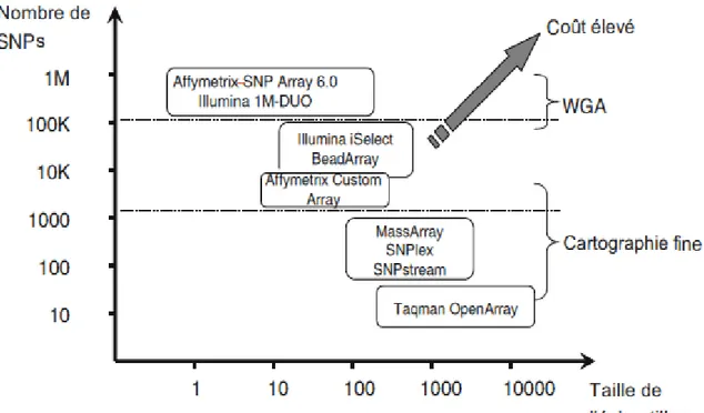 Figure  1 :  Vue  d'ensemble  des  plateformes  en  fonction  du  débit  de  polymorphismes  SNP et de la taille de l'échantillon
