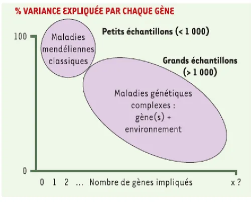 Figure  2.  Caractéristiques  comparées  des  maladies  héréditaires  classiques  mendéliennes  et  des  maladies  génétiques  complexes  (37) :  L’abscisse  représente  le  nombre  estimé  de  gènes  impliqués  dans  la  maladie,  tandis  que  l’ordonnée 