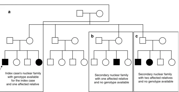 Figure 1 Pedigree structure with (a) index case’s ancestors and nuclear family and (b,c) secondary nuclear families (index case marked with an arrow).