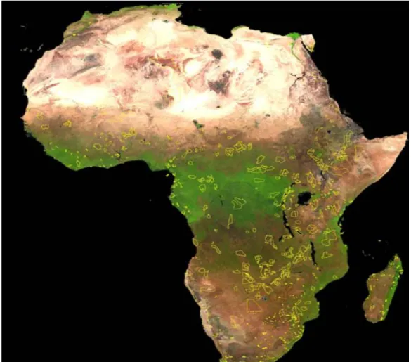 Figure n° 3 : Les espaces protégés d’Afrique (Source  Google Earth  Août  2008) 
