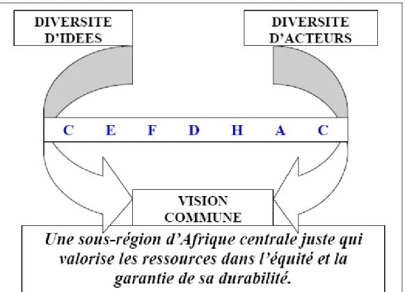 Figure n° 8 : Illustration extraite du rapport «  La CEFDAHC, vers la sauvegarde et l’utilisation 