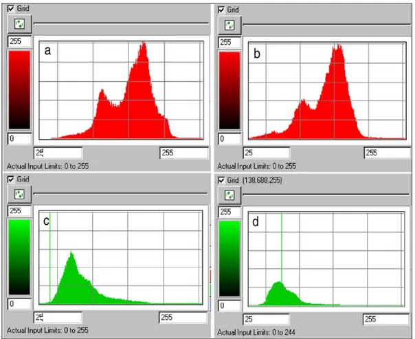 Figure IV-3 : Histogrammes des composantes de la transformation de chapeau à cône après corrections atmosphériques normalisées sur une échelle de 0-255