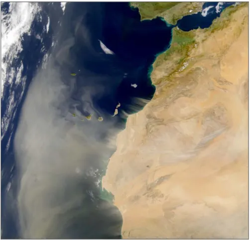 Figure I-3 : Orage de poussière au-dessus de l’Océan atlantique, en provenance du Sahara, 26 février 2000