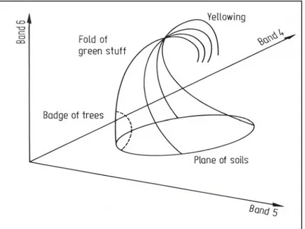 Figure II-5 : Trajectoire de récoltes dans l'espace de Landsat MSS, selon la forme de chapeau à cône