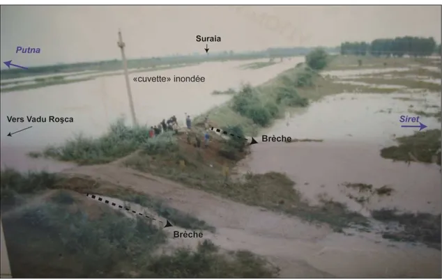 Figure 1- 26: Brèches dans une digue en rive droite du Siret en aval de Suraia   (Photographie: Pavel, 2010; Localisation Figure 1- 24) 