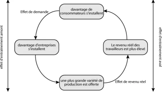 Figure 1.8 — Causalité circulaire dans la formation d’une agglomération d’entreprises et de  travailleurs 