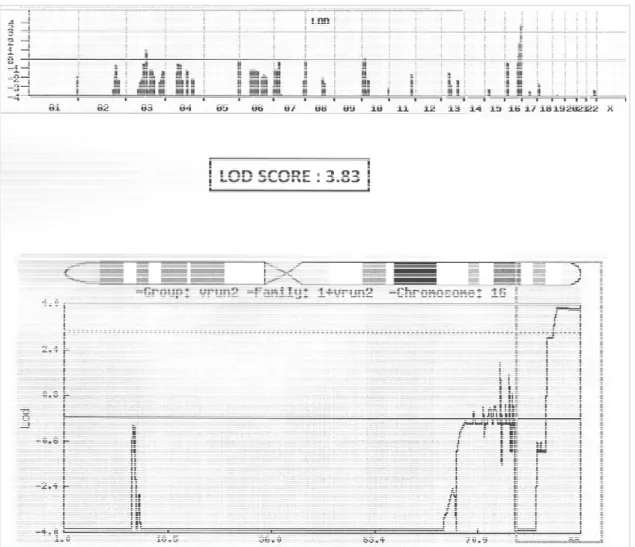 Figure 4: Résultat de l’analyse de liaison dans la famille VA.