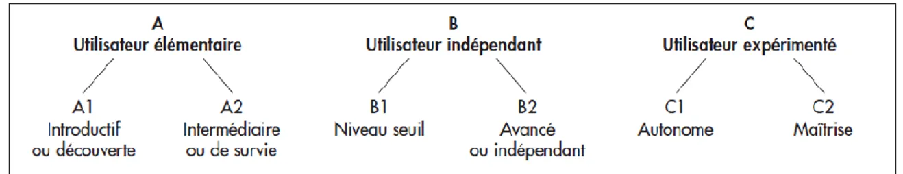Figure 7 La branche de l’Utilisateur élémentaire développée en un rameau de six branches 