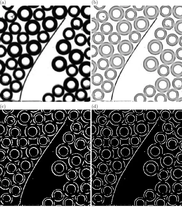 Figure I.10 – Étapes de la squelettisation de l’intrus. (a) Zoom de l’image initiale. (b) Même image après avoir surligné les détails