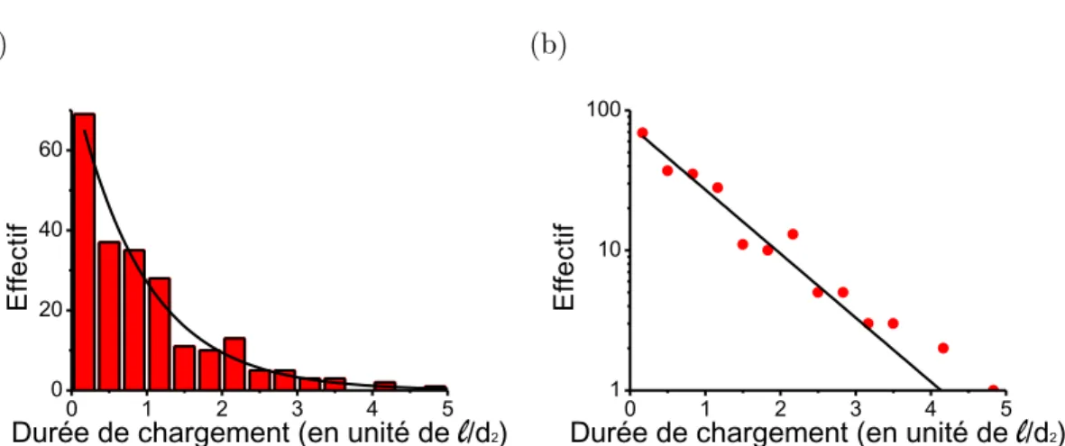 Figure II.16 – (a) Distribution de la durée des chargements en unité de ℓ/d 2 lors
