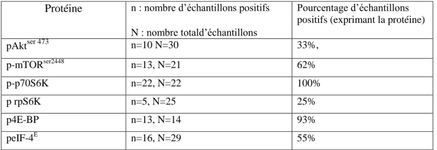 Tableau 2 :l'expression des protéines de la voie mTOR dans les échantillons de LCM avant traitement