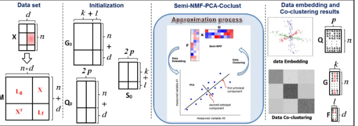Figure 1.3 – Schema of SemiNMF-PCA-Coclust method.