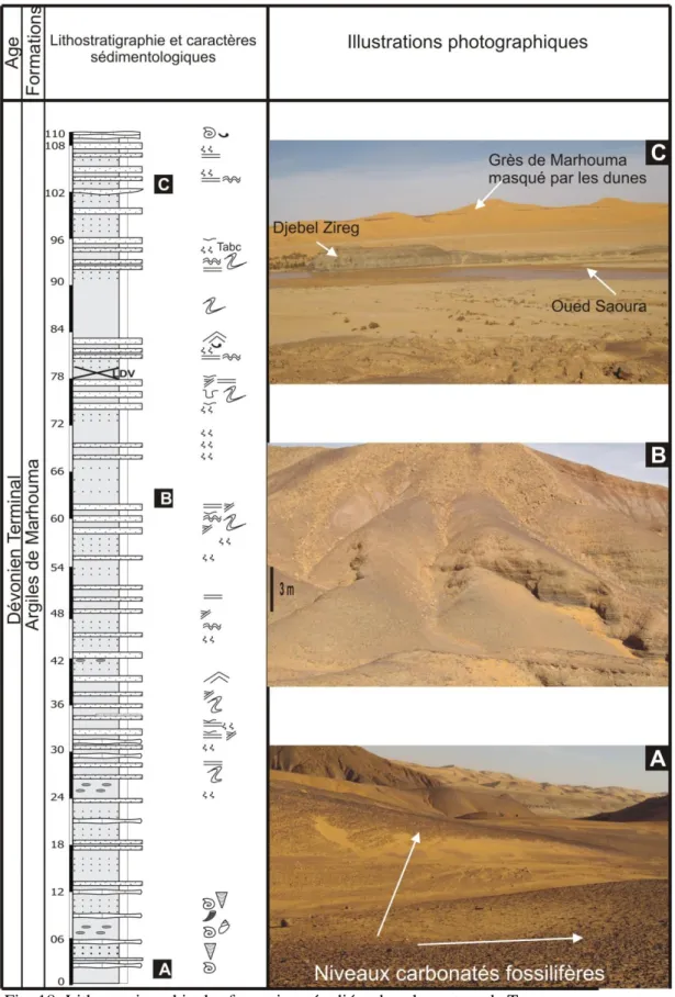 Fig. 18: Lithostratigraphie des formations étudiées dans le secteur de Tamtert. 