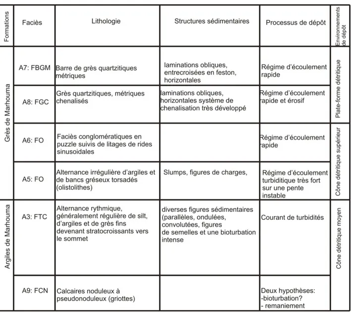 Tableau  4 :  Synthèse  et interprétation de la  lithologie  et  de  la  sédimentologie  des  formations  étudiées  dans le secteur de Marhouma