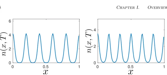 Figure I.6: Multistability in non-local Fisher equation. Simulations inspired from Perthame