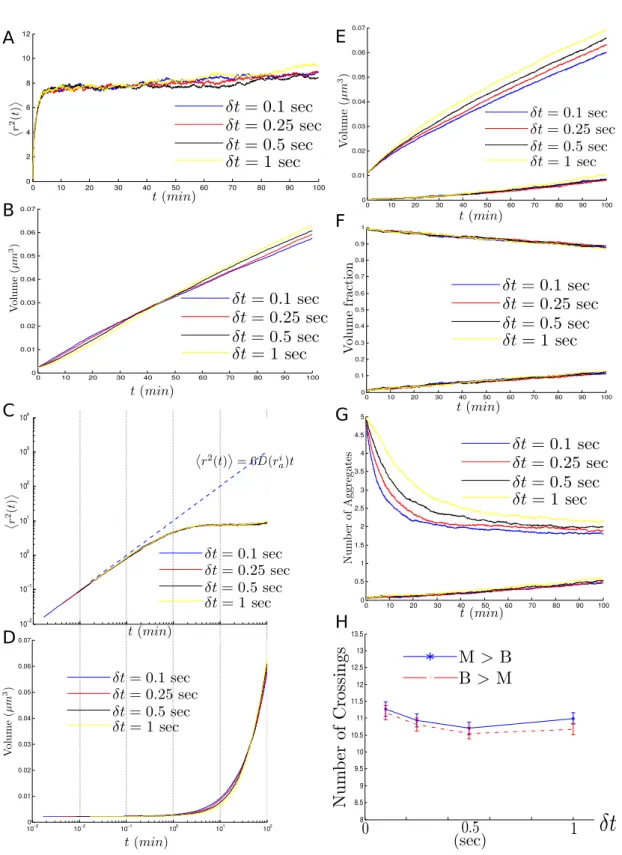 Figure II.9: Dependence on δt. A-D. MSD of one aggregate throughout the simulation of the single-division component of the model (top) and volume of the same aggregate for which the MSD was computed (bottom) for different values of δt