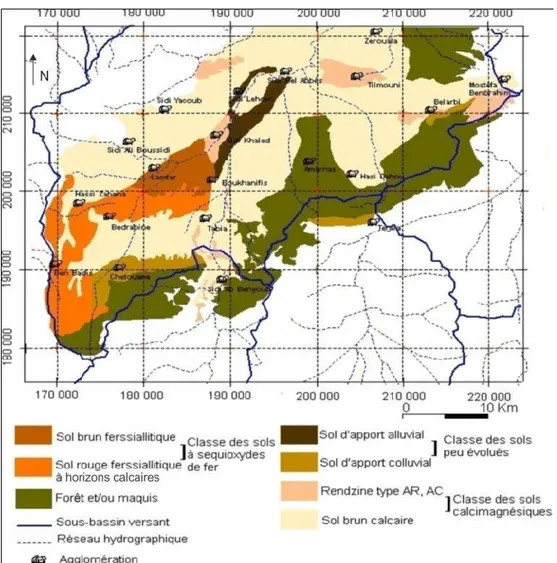 Figure 8. Répartition des sols dans la plaine de Bel Abbès ( Faraoun &amp; Benabdeli, 2010) 