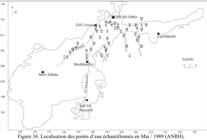Figure 34. Localisation des points d’eau échantillonnés en Mai / 1989 (ANRH). 