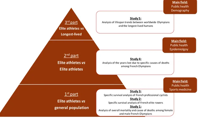 Figure  1.8:    Schema  of  the  thesis  structure.  The  pyramid  represents  each  part  of  the  thesis  organized  according  to  the  different  approaches