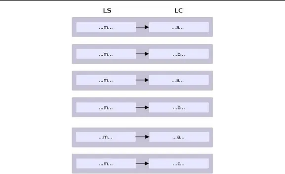 Figure 7. Sous-corpus correspondant à un mot polysémique (m) de la LS 