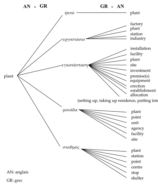 Figure 6. Correspondances de traduction pour plant et inversion de la direction de traduction 