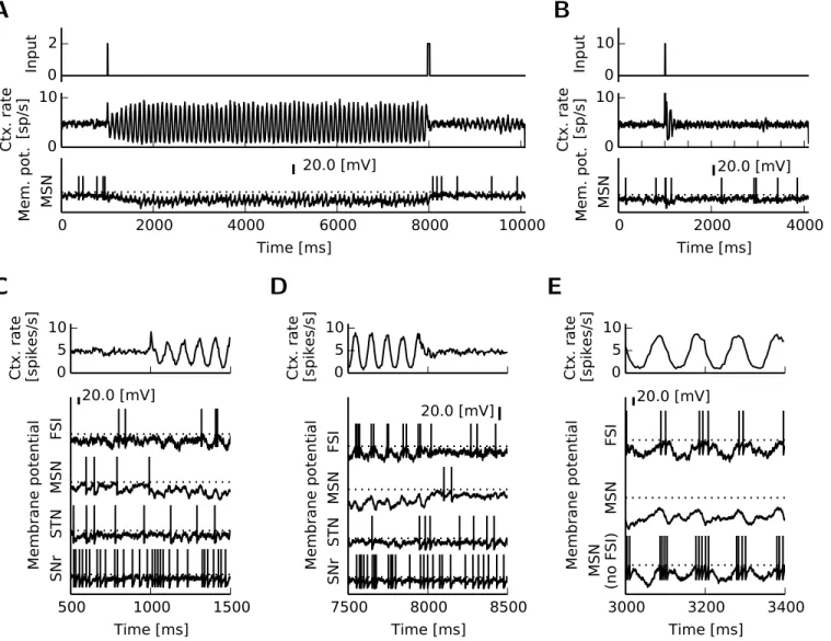 Figure 2.2: Bistability between asynchronous activity and collective oscillations in the spiking BG-thalamo-cortical