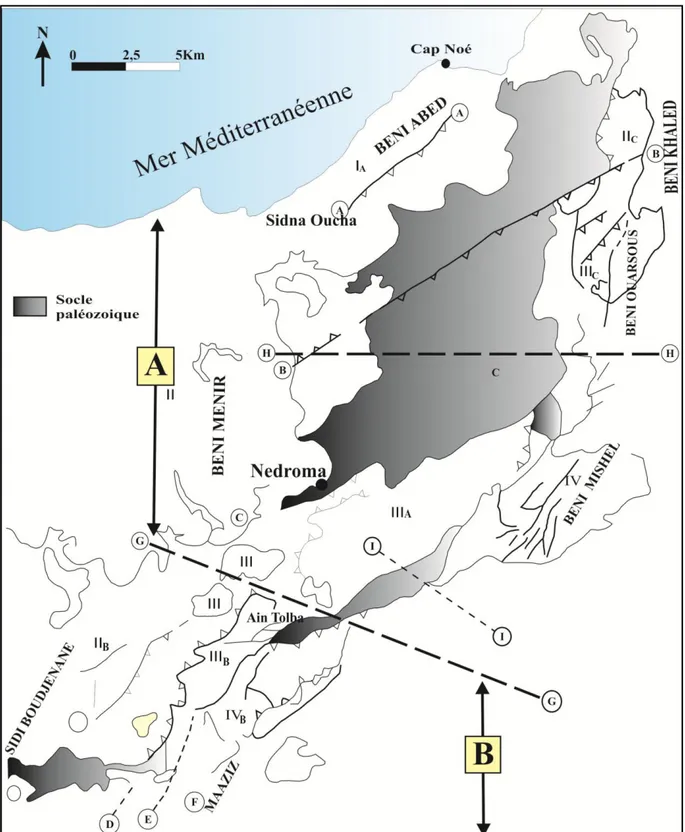 Fig. I-8 : Cadre  structur al des Monts des Tr aras  