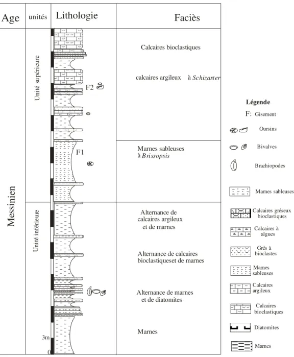 Fig. 08:colonne lithologique de la coupe de Jdiouia  