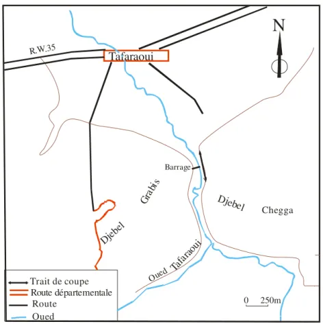 Fig. 12 :  Site de Tafaraoui, (extrait de la carte d’Arbal 1/50 000) 