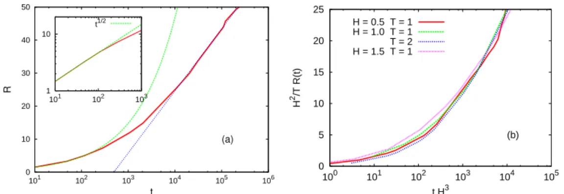 Figure 3.1: (a) With line-points (red), the growing length R(t) at T = 1 and H = 1. The green curve is the power law √ t that describes well the data at short times, right after the temperature quench