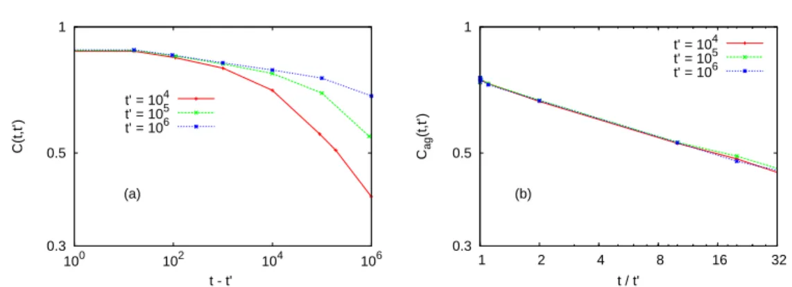 Figure 3.7: (a) 3d EA: the global two-time correlation C(t, t ′ ) at T /T