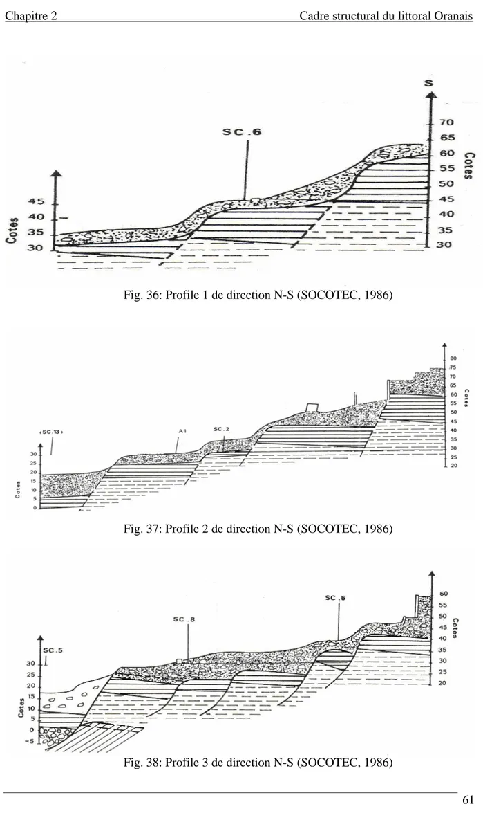 Fig. 36: Profile 1 de direction N-S (SOCOTEC, 1986)