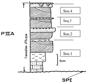 Fig. 42 : Coupe géologique de Gambetta (Thomas, 1985) 